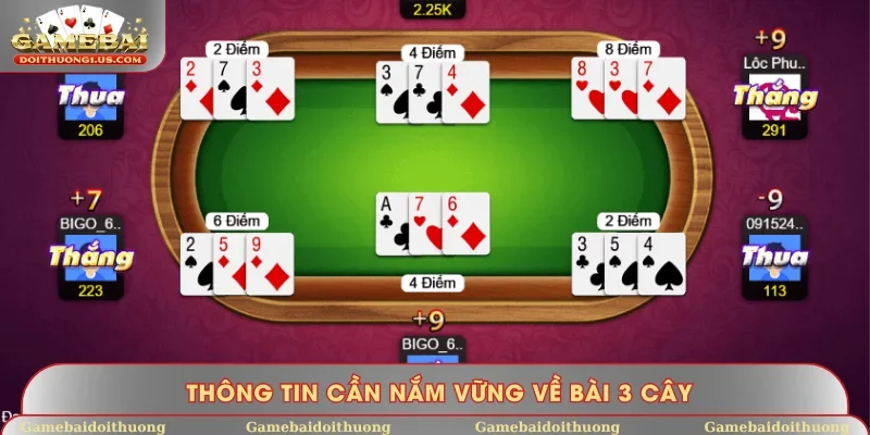Thông tin cần nắm vững về bài 3 Cây